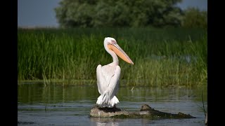 The Danube Delta | Romania | UNESCO World Heritage Site