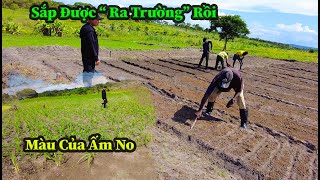 Công Đồng ll Cây Trồng Phải Đa Dạng Thì Các Em Mới Có Cơ Hội Học Được Cách Trồng Bác Ạ