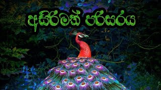 අසිරිමත් පරිසරය  @tggimres9097