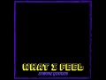 SG I.C.E aka Simone Gooden Ft Gross365 - What I Feel - Official Lyric Video