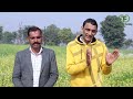 बिना पानी बिना मेहनत वाली फसल तारामीरा कमाई भी ज्यादा लगाओ और काटने जाओ technical farming