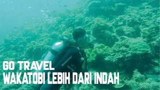 GO TRAVEL - Menikmati surga bawah laut Wakatobi