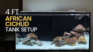 4 Feet African Cichlid Tank Setup