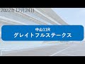 【予想競馬】2022年12月24日阪神c他