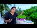 എളുപ്പത്തിലൊരു ഇലക്കറി healthy microgreens recipe anila sreekumar