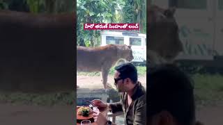 హీరో తరుణ్ సింహంతో లంచ్ #tarun #hero #tharun #tollywood #lunchdate #ytshorts #cinemapichollu #like