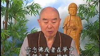 淨空老法師:講是[身],還是[心],還是[靈性],或是[本性],如講錯,需要背因果嗎?1/2