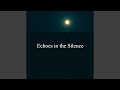 Echoes in the Silence