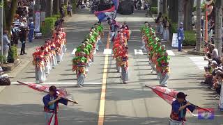 妃龍〔彩夏祭2018　１日目　公園通り南演舞場①20180804〕