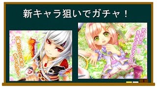 【白猫テニス　ゆっくり実況】イシュプールとプリムラが欲しいのでガチャ！