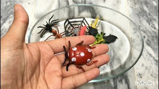Plastic Mini Insects | plastic mini Insect Toys | Mini wild Toys | satisfying toys ideas