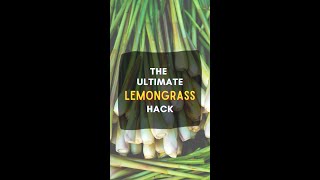 The Ultimate Lemongrass Hack. #shorts
