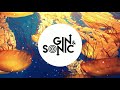 Gin and Sonic 2020 Yearmix (Mashups, Remixes and Originals)