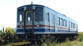 関東鉄道　キハ2200形 2203　関鉄線 三妻駅～南石下駅