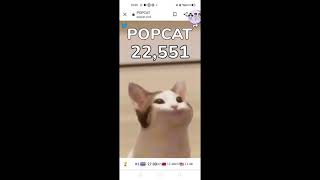 PopCat คืออะไร เกมที่คนช่วยเล่นกันทั่วประเทศ