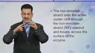BIO302 Topic104