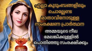 എല്ലാ കുടുംബങ്ങളിലും ചൊല്ലേണ്ട മാതാവിനോടുള്ള സംരക്ഷണ പ്രാർത്ഥന