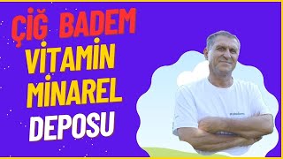 ÇİĞ BADEMİN FAYDALARI NELERDİR TATLI BADEM NEYE İYİ GELİR NE İŞE YARAR