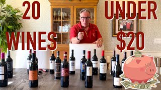 Affordable Wines || 20 Wines UNDER $20 || Decants With D