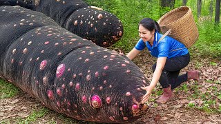 Harvest Anaconda Yam Tuber in Forest and Go to Market Sell | yam found only in the humid forests