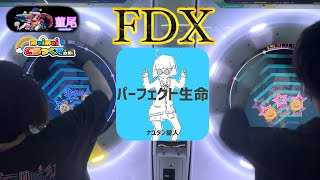 maimaiでらっくす「パーフェクト生命」MASTER譜面FDX