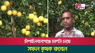 চাঁপাইনবাবগঞ্জে মাল্টা চাষে সফল কৃষক রুবেল | Chapainawabganj Malta | 29November2023