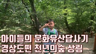 아이들의 문화유산답사기 경상도편 천년의숲 상림