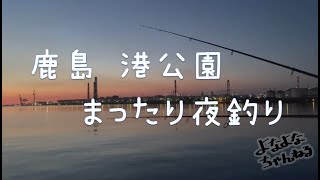 鹿島・港公園でまったり夜釣り