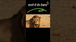 सपने में शेर देखना । seeing lions in dreams #dream #dreammeaning