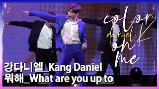 강다니엘(Kang Daniel) - 뭐해(What are you up to)  @Showcase Stage 'color on me'