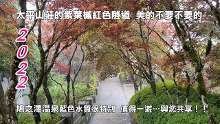 2022太平山莊的紫葉槭隧道  鳩之澤溫泉藍色水質很特別  不要不要的…與您共享！！