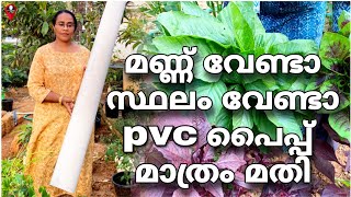 Pvc പൈപ്പ് വച്ച് കൃഷി ചെയ്താൽ ഇരട്ടി വിളവ് | How to cultivate vegetables using pvc pipe in malayalam