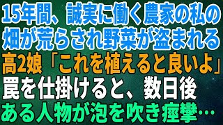 【スカッとする話】15年間、誠実に働く農家の私の畑が荒らされ野菜が盗まれる…すると高2娘「これを植えると良いよ」罠を仕掛けると、数日後ある人物が泡を吹き痙攣…