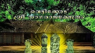 Aadimoolam Vetticode Nagaraja Temple ✨| Kerala's First Nagaraja Temple 🐍| Bharanikavu, Alappuzha