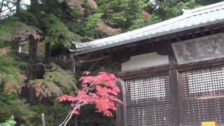 2014.11.8 京都高雄　神護寺紅葉-3　神護寺境内