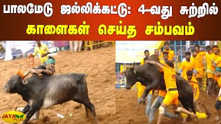 பாலமேடு ஜல்லிக்கட்டு: 4-வது சுற்றில் காளைகள் செய்த சம்பவம் | Palamedu Jallikattu 2022