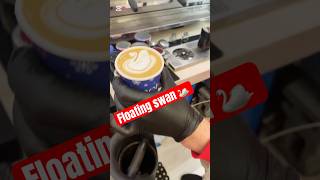 Swan latte art | easy swan latte art | coffee art skill #shorts #youtubeshorts #youtube #trending