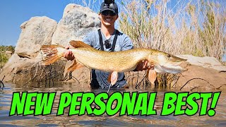 Monsters of Utah! FISH BEATDOWN- Northern Pike Fishing from a kayak