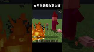 能在Minecraft中打造女巫雞騎士嗎？ #minecraft #我的世界