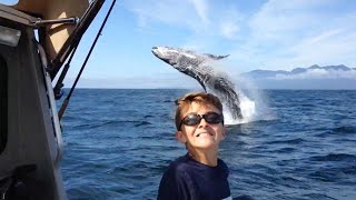 Epic Whale Photobomb Behind Selfie