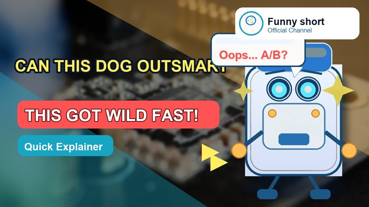 Funny Video Smart Dog Youtube