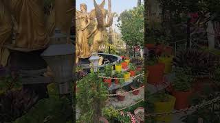 #Narendra udhan park #katihar #park #flower #waterfall #viralshorts #viralvideo