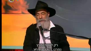 אריאל זילבר - שדות גולדברג (ילדתי שלי)