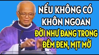 NẾU KHÔNG CÓ SỰ KHÔN NGOAN THÌ ĐỜI NHƯ ĐANG TRONG ĐÊM TỐI. CHA PHẠM QUANG HỒNG GIẢNG MỚI NHẤT