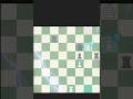 best checkmate ☠️🗿🗿best ending 🗿#chess #grandmaster #trending #shorts #viral #brilliant#sacrifice