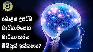 මිනිසා මොළය උපරිම ධාරිතාවයෙන් බවිතා කලොත්? | What If Human Used Full Capacity of Their Brain?