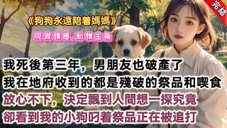 【完結】《狗狗永遠陪着媽媽》，我死後第三年，男朋友好像破產了。我在地府收到的不是起球的毛衣，就是拼好飯外賣和破皮火腿腸。我放心不下，飄到人間想一探究竟。卻看到我的小狗正被幾個人追着打：「就是這個臭狗