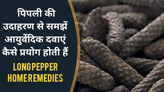 LONG PEPPER PIPLI USE AS A MEDICINE | पिपली की उदाहरण से समझे आयुर्वेदिक दवाएं कैसे प्रयोग होती हैं