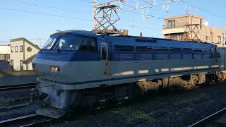 JR貨物 EF66-131号機+コキ20B 吹A11仕業[3076レ] 東京タ行 尻手駅通過！