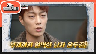 오늘의 견학생? 부캐까지 완벽한 윤두준! [개는 훌륭하다/Dogs Are Incredible] 20200706